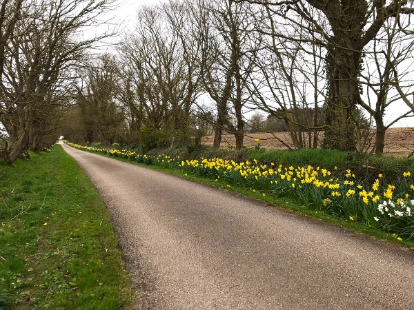 Action for Climate and Environment Newburgh-33